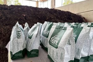 WhatsApp Image 2025-07-11 at 21.23.55