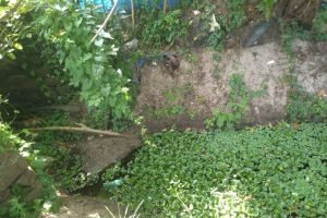 WhatsApp Image 2025-07-11 at 21.57.07 (2)