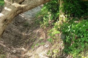 WhatsApp Image 2025-07-11 at 21.57.08